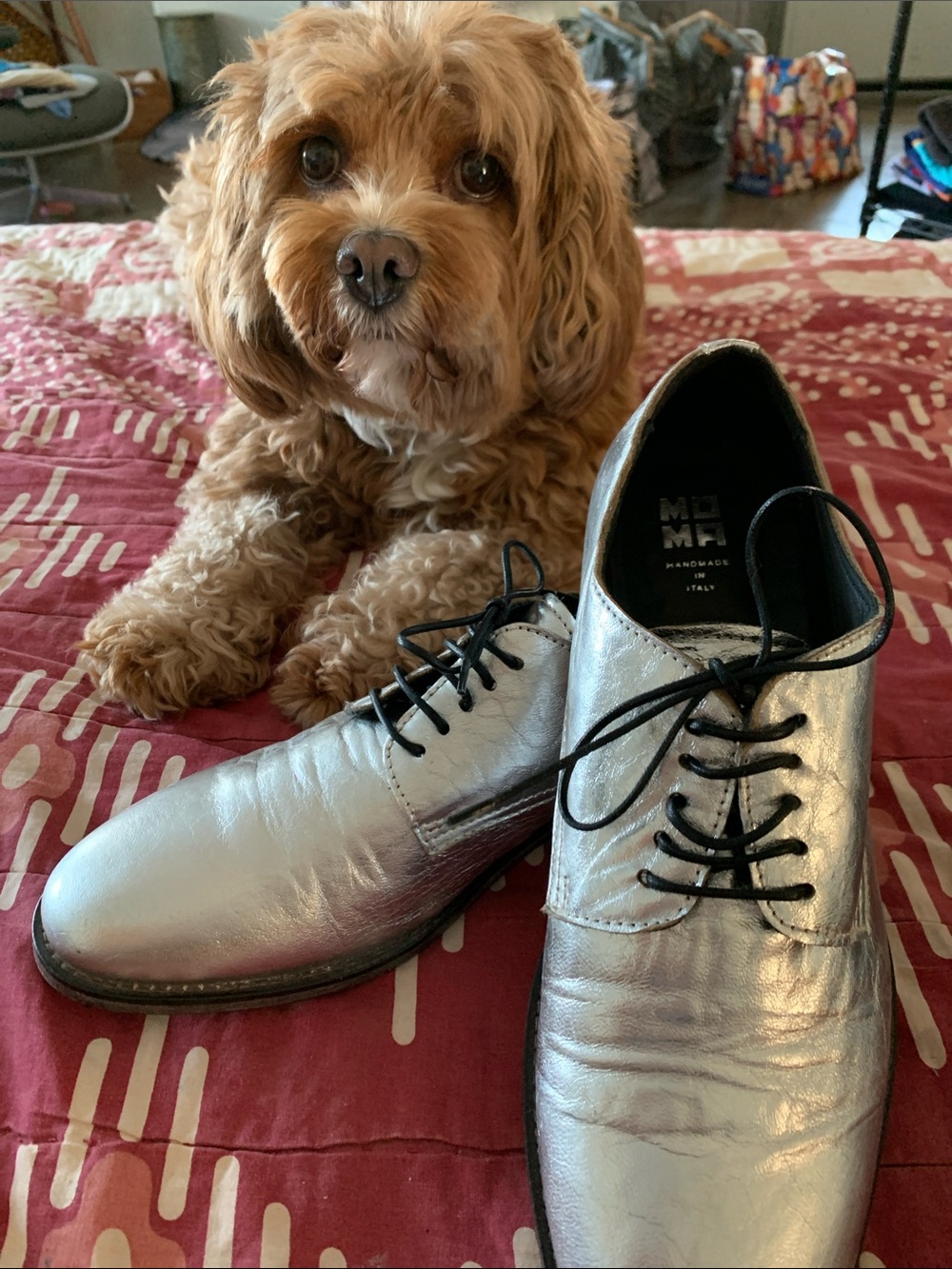 Moma Metallic Silver Leather Derby Shoes for Women